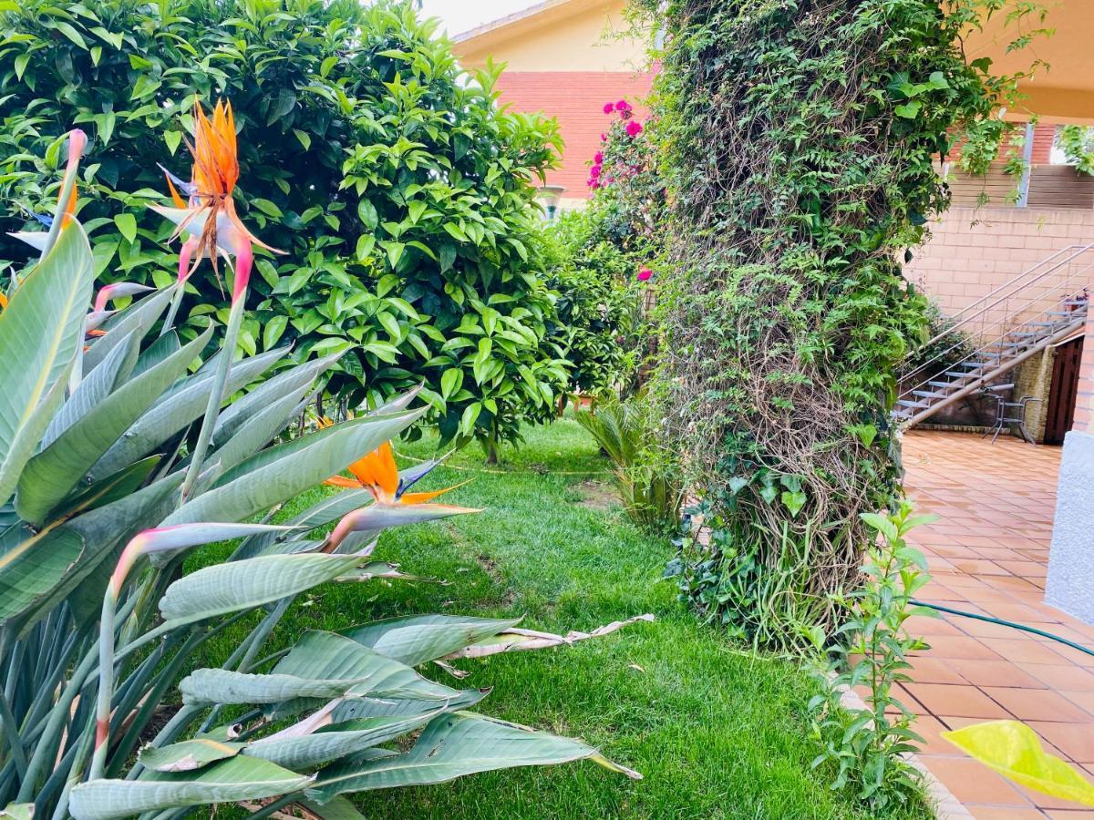 Apartamento Mar Y Montana Архентона Екстериор снимка